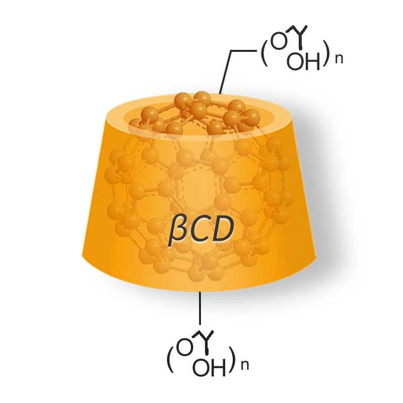 Fullerene Inclusion Complex